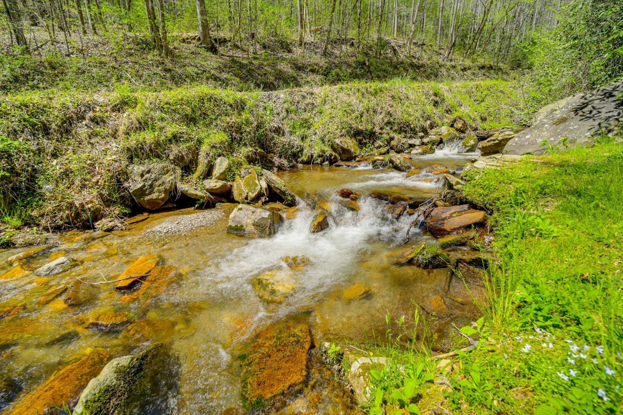 Creekside Whittier Cabin With Fire Pit Near Hiking! Экстерьер фото